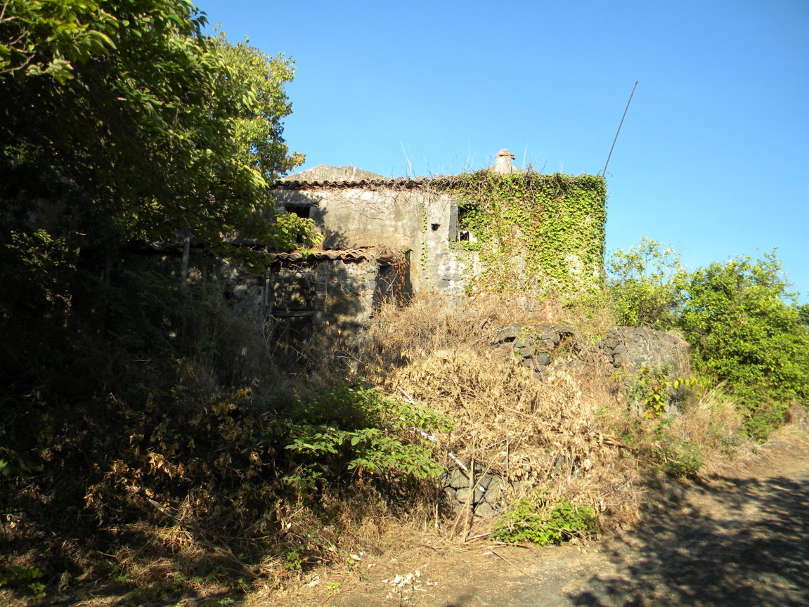 DSCN8046 .JPG